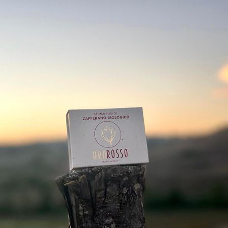 Agriturismo La Terrazza Sul Mangia Сиена Экстерьер фото