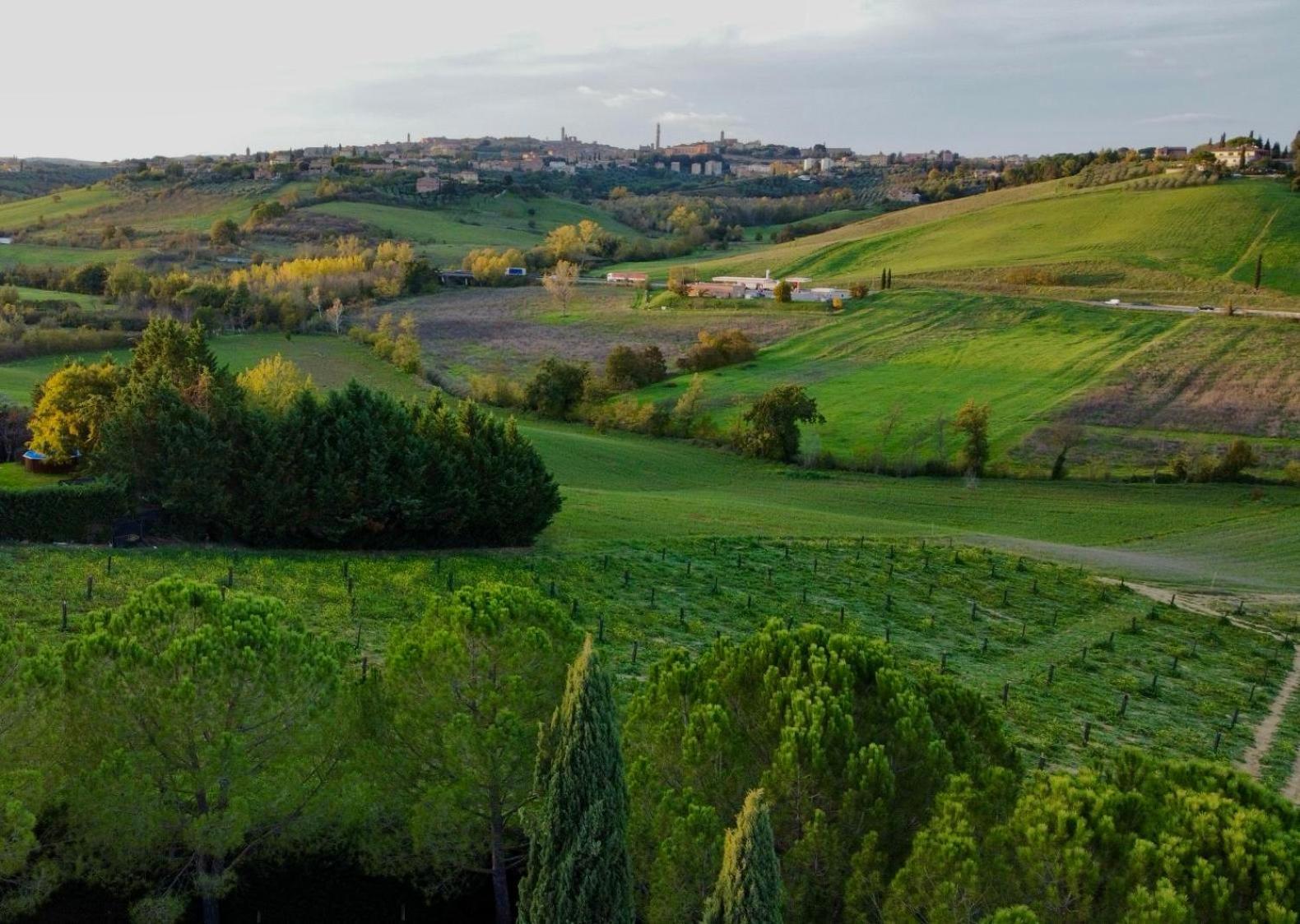Agriturismo La Terrazza Sul Mangia Сиена Экстерьер фото
