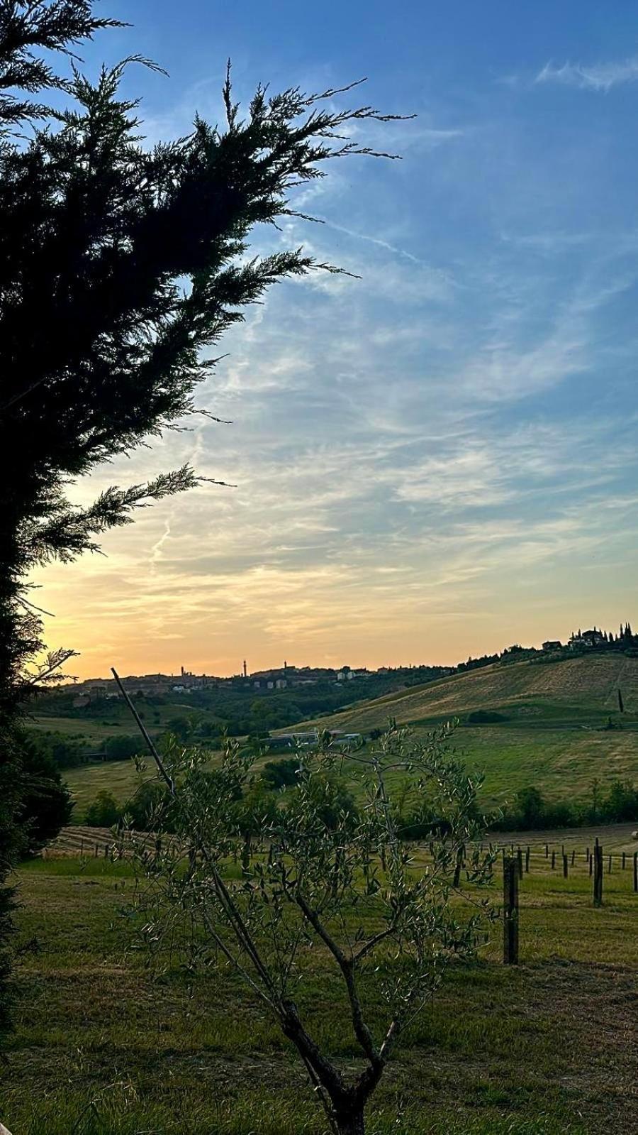 Agriturismo La Terrazza Sul Mangia Сиена Экстерьер фото